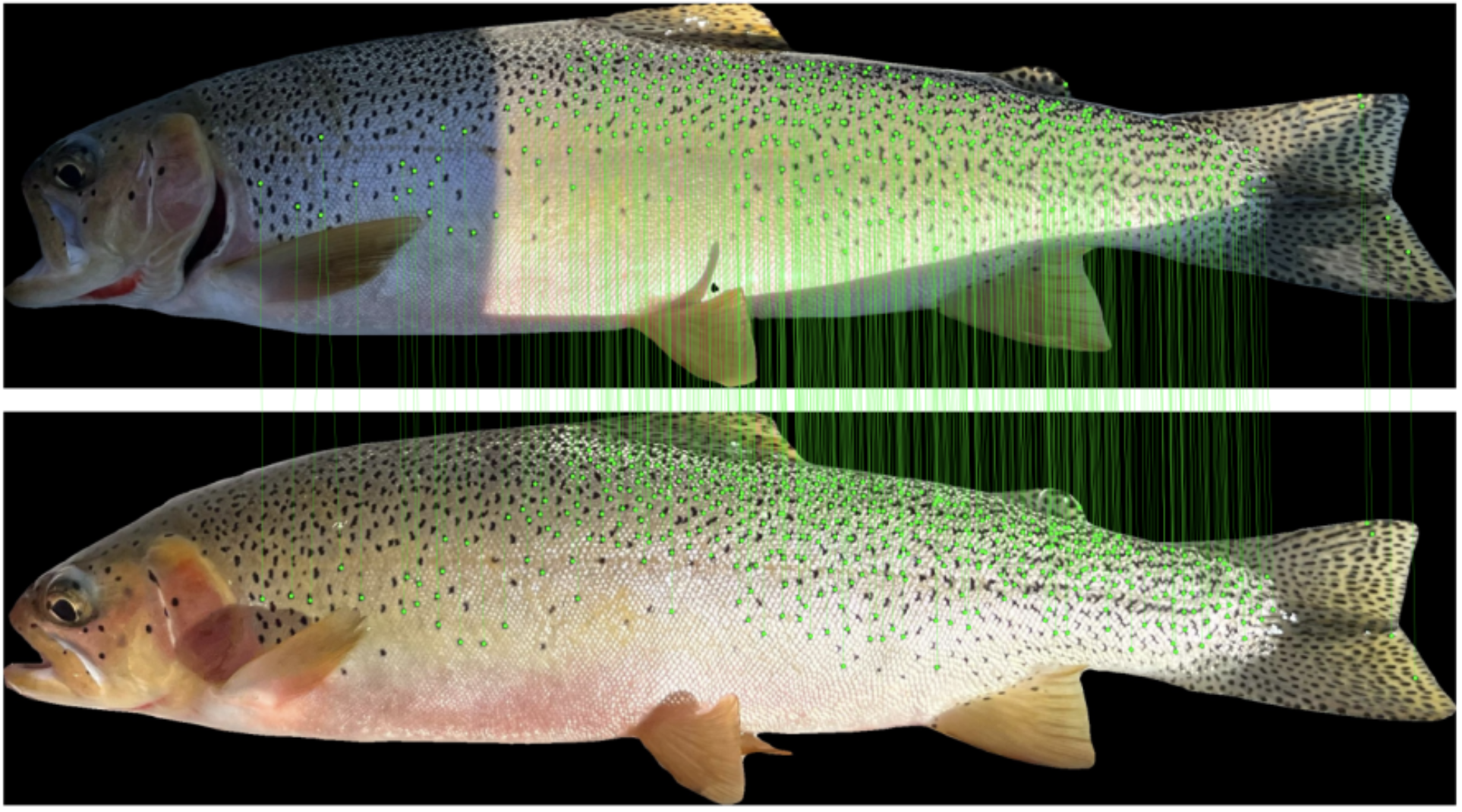 image title alter-text